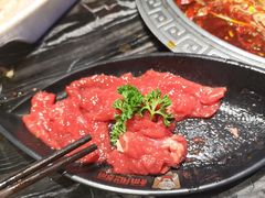 -杨肥肠火锅大排档(火车站花园店)