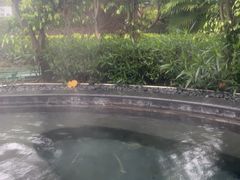 -凤翔首邑温泉度假村