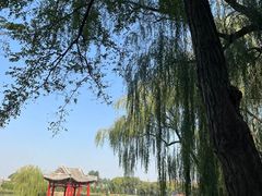 -盛世南宫影视城(北普陀影视城)