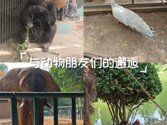 -郑州市动物园