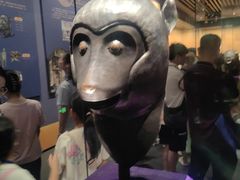 -广西壮族自治区博物馆