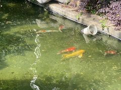 -广富林宰相府酒店·水云间
