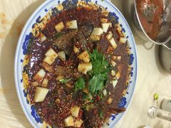 -风鑫铃罗非鱼(道沟店)