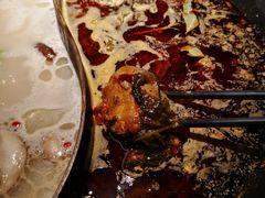 红油梭边鱼-新辣道鱼火锅(西直门店)