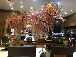 -红人馆造型世爵国际