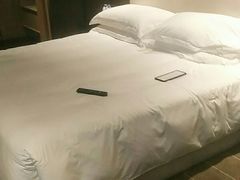 -深圳湾木棉花酒店
