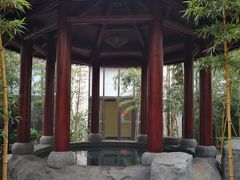 -河源客天下-温泉小镇