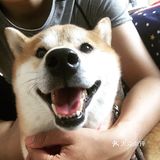 要去上班了，蛋卷什么的做法下次再介绍啦