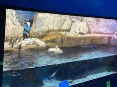 -成都浩海立方海洋公园