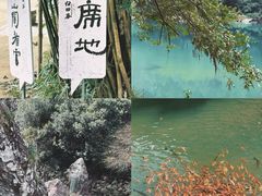 -温州永嘉书院