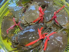 -板桥海鲜广场(文明东店)