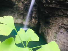 -鹿院坪生态旅游景区
