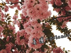 -长安大学(北校区)