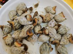 花螺-老字号蛇口德记烧腊饭店·海鲜加工