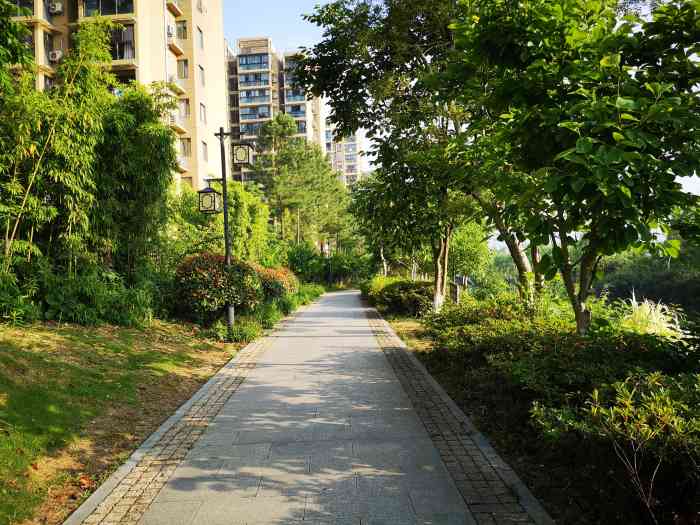 三义公园-"盛夏的到来,意味着夹竹桃占领了整个杭城."-大众点评移动版