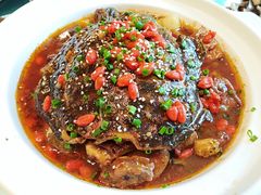 -楚灶王(徐东店)