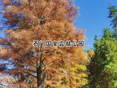 -广州市石门国家森林公园