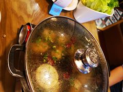 养生肉丸打边炉-禾田下生态餐厅(华天城总店)