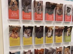 -美联众合爱康动物医院•复杂内科•肿瘤科•牙科•腔镜诊疗中心