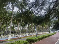 -万绿园