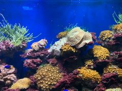 -海合安成都极地海洋公园