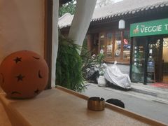 -Sirena海妖日咖夜酒