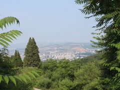 -原山国家森林公园