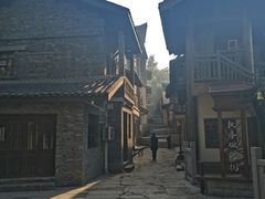 -南山植物园