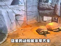 -石家庄市动物园