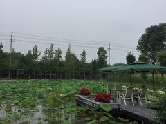 -洪湖家庭农场·团建·露营·会议