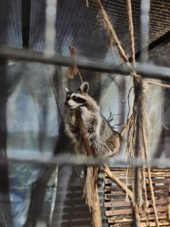 -酷嗒动物文化乐园(cutezoo西溪乐天城店)