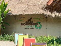 -大象粑粑造纸公园