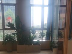 -合肥美奥口腔·种植矫正中心(政务院)