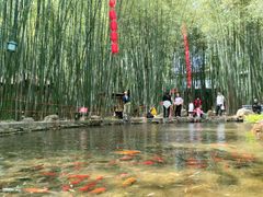 -竹泉村旅游度假区