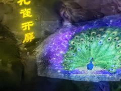 -华阳洞风景区