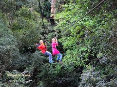 -清迈丛林飞跃 JungleFlight