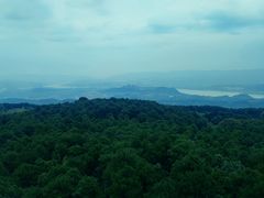 -铁山坪森林公园