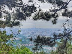 -香山公园