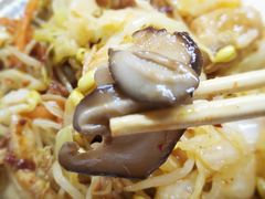 -四川农业大学(雅安校区)