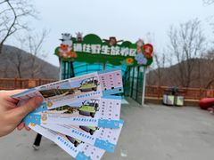 -大连森林动物园