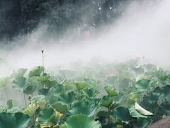 -四川大学(望江校区)