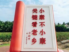 -亚龙湾国际玫瑰谷