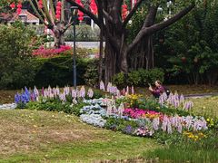 -云溪植物园