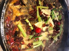 -老板恋上鱼(恒隆广场店)