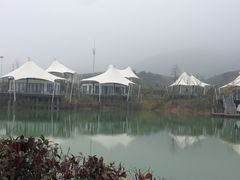 -帐篷客·溪龙茶谷度假酒店