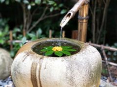 -天目湖御水温泉·度假酒店