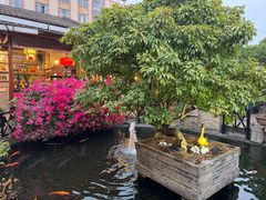 -猪肉婆私房菜(容桂总店)