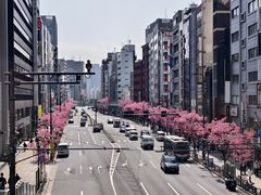-涩谷区