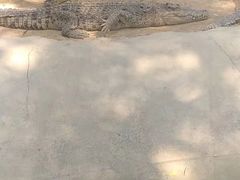 -泉州海丝野生动物世界