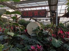 -呀路古热带植物园